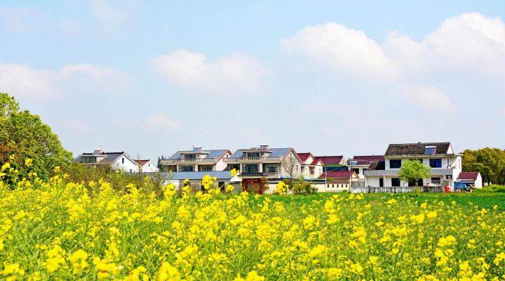 河南焦作市發(fā)文推進農(nóng)村人居環(huán)境整治、農(nóng)村污水治理、黑臭水體治理